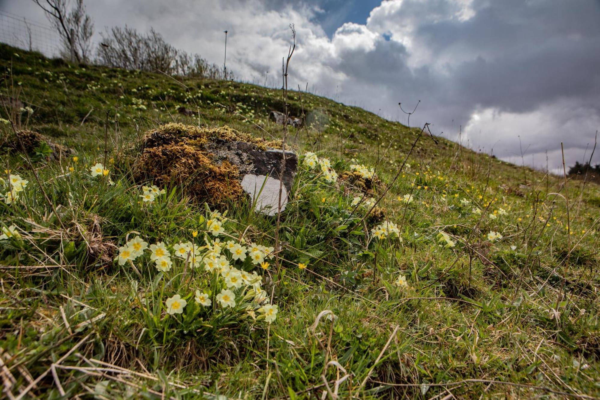 Edinbane Self Catering - On The Croft At Edinbane Villa Eksteriør billede